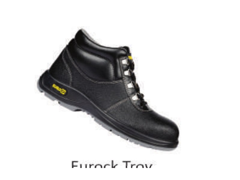 Eurock Troy