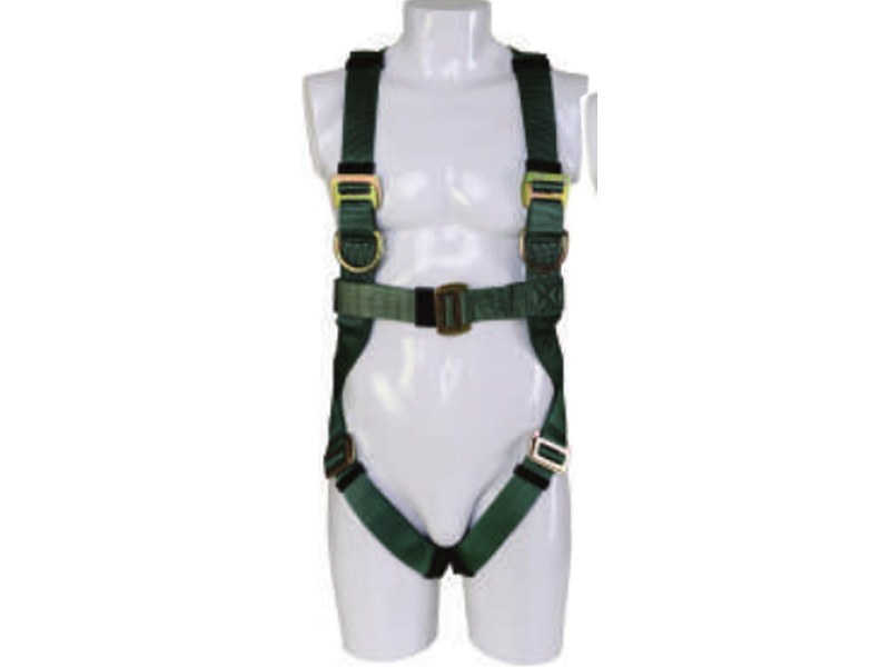 L Class Harness