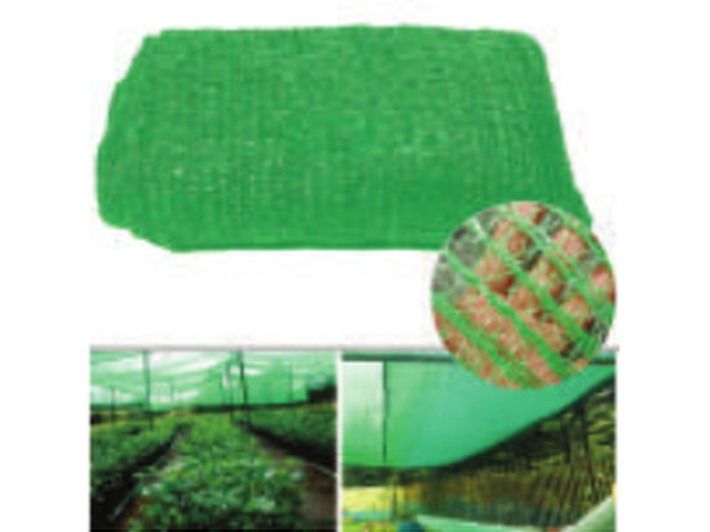 Shed Net